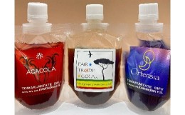 【ふるさと納税】カラフルクラフトコーラシロップ 100ml 飲み比べ3種類セット（フェアトレードコーラ、オルテンシア、ACACOLA）| 東和組