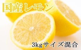 【ふるさと納税】 【産直】和歌山産レモン約3kg（サイズ混合）※2024年3月上旬より4月下旬順次発送 / 果物 くだもの フルーツ レモン 国