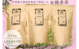 【ふるさと納税】宝箱の有機番茶 23008-15　【100g×3袋 番茶 焙じ番茶 有機 10年以上農薬化学肥料不使用の畑 オーガニック】