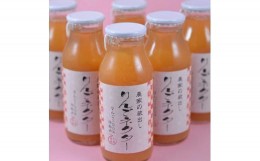 【ふるさと納税】佐々木果樹園 乙部角屋 蔵出し 濃厚りんごネクター 180ml×6本