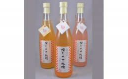 【ふるさと納税】佐々木果樹園 乙部角屋 搾りたて 林檎ジュース 720ml 6本