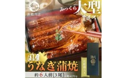 【ふるさと納税】大型サイズ　ふっくら柔らか　国産うなぎ蒲焼き　3尾　化粧箱入【土用の丑の日のうなぎ】【〜7月24日までにお届け】【UT