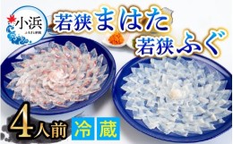 【ふるさと納税】【着日指定】 【冷蔵でお届け】 「若狭ふぐのてっさ」 と 「若狭まはたのお刺身」 セット 【4人前】