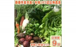 【ふるさと納税】【最優秀賞受賞！甘味＆栄養】有機JAS認証の無農薬、チヨちゃんの野菜９ヶ月定期[959]