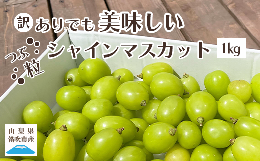 【ふるさと納税】訳あり　シャインマスカット　粒1kg以上　山梨県　笛吹市　種なしぶどう「フルーツ　果物　不揃い　傷」高評価　人気　