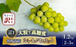 【ふるさと納税】＜2024年先行予約＞ちょっと訳アリ 『シャインマスカット』 山梨県産ぶどう 青秀品 2〜3房 計約1.2kg ※冷蔵 JAふえふき