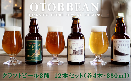 【ふるさと納税】＜OTOBBEAN-オトビアン-　12本セット（3種類×各4本）＞クラフトビール　330ml