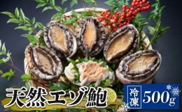 【ふるさと納税】天然 エゾアワビ 500g 冷凍  