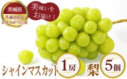 【ふるさと納税】No.294 【先行予約】シャインマスカット1房と梨5個【茨城県共通返礼品 かすみがうら市】 ／ 旬 新鮮 葡萄 ブドウ なし 