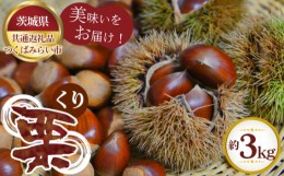 【ふるさと納税】No.300 【先行予約】栗　約3kg【茨城県共通返礼品 つくばみらい市】 ／ 旬 新鮮 くり クリ 果物 フルーツ 茨城県 特産品