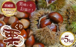 【ふるさと納税】No.305 【先行予約】栗　約5kg【茨城県共通返礼品 つくばみらい市】 ／ 旬 新鮮 くり クリ 果物 フルーツ 茨城県 特産品