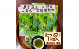 【ふるさと納税】[?5695-1370]川根茶 ご家庭用 普通煎茶やまびこ1kg (100g袋×10袋セット)