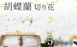 【ふるさと納税】胡蝶蘭 切り花 5本 南里園芸 こちょうらん お祝い プレゼント 母の日 内祝い ギフト 花ギフト 送料 生花 花束 贈り物 送