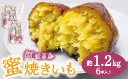 【ふるさと納税】蜜焼き芋 6本 セット 大容量 冷凍 約 1.2kg いも さつまいも 芋 和 菓子 スイーツ おやつに ピッタリ アイス 冷やし焼き