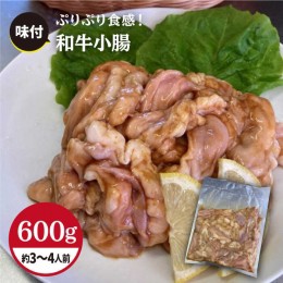 【ふるさと納税】【食べやすい味付け】ホルモン専門店の和牛小腸 600g（約3〜4人前）【三田川ホルモン専門店】吉野ヶ里町 [FAC007]