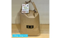 【ふるさと納税】志村屋米穀店 令和5年産新米小田原市産　はるみ(玄米) 　15kg（5kgｘ3）＜出荷時期：10月中旬より順次出荷開始＞【おこ