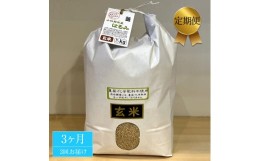 【ふるさと納税】【定期便 3ヶ月】 志村屋米穀店令和5年産新米小田原市産 農薬・化学肥料不使用はるみ(玄米) 新米 5kg＜出荷時期：10月中