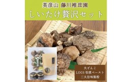 【ふるさと納税】藤川椎茸園の加工品「大どんこ 80g、LOGS 佃煮 ペースト 65g×2、三大旨味製粉 60g」 [a0135] 藤川椎茸園 【返礼品】添