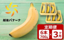 【ふるさと納税】【定期便・雪国新潟産バナナ】6本（700g）×3回 濃厚な甘さともっちり食感！安心安全の越後バナーナ[ZK918]