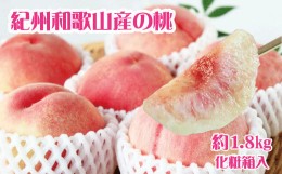 【ふるさと納税】紀州和歌山産の桃　約1.8kg　化粧箱入 ※2024年6月下旬頃〜2024年8月中旬頃順次発送（お届け日指定不可） / もも モモ 