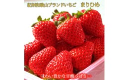 【ふるさと納税】 紀州和歌山ブランドいちご「まりひめ」約250g×4P　※2025年1月上旬頃〜3月上旬頃に順次発送予定（お届け日指定不可）/