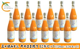 【ふるさと納税】三ヶ日みかん そのまま絞り 12本セット（720ml×12本セット） みかん ジュース 100%