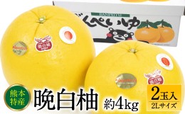 【ふるさと納税】【先行予約】 晩白柚2Lサイズ 2玉入り 約4kg 【2024年12月中旬より順次発送】