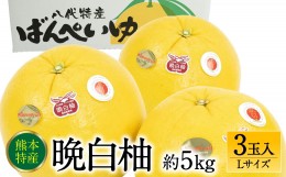 【ふるさと納税】【先行予約】 晩白柚Lサイズ 3玉入り 約5kg 【2024年12月中旬より順次発送】