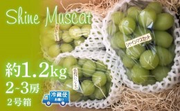 【ふるさと納税】＜2024年先行予約＞シャインマスカット2号箱　約1.2kg（2〜3房入） 214-001