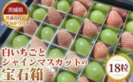 【ふるさと納税】No.341 【先行予約】白いちごとシャインマスカットの宝石箱　18粒【茨城県共通返礼品 かすみがうら市】 ／ 旬 新鮮 苺 