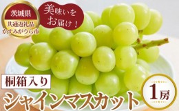 【ふるさと納税】No.359 【先行予約】桐箱入りシャインマスカット　1房【茨城県共通返礼品 かすみがうら市】 ／ 旬 新鮮 葡萄 ブドウ 果