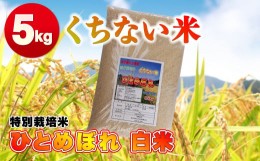 【ふるさと納税】令和5年産  くちない米（特別栽培米ひとめぼれ白米）5kg