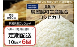 【ふるさと納税】新潟 特別栽培米 令和5年産 コシヒカリ  「鳥屋脇町生産組合コシヒカリ」 精米 60kg ( 10kg×6ヶ月 ）定期便 精米 した