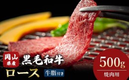 【ふるさと納税】＜岡山県産黒毛和牛＞ロース　500g　(焼肉用) TY0-0367