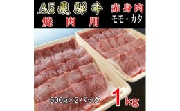 【ふるさと納税】『A5等級』飛騨牛赤身肉焼肉用1kg　モモ又はカタ肉【1432070】