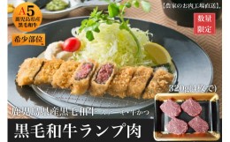 【ふるさと納税】【鹿児島県産黒毛和牛】赤身ランプ肉320g(4枚入)牛カツ・ステーキ用(水迫畜産/010-625) 肉 牛 牛肉 ランプ 国産 鹿児島 