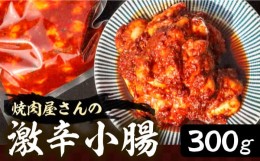 【ふるさと納税】焼肉屋さんの超人気鉄板メニュー 激辛小腸【平壌屋】《豊前市》肉 焼肉 お肉 BBQ バーベキュー [VAH041]