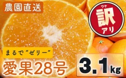 【ふるさと納税】【来年度先行予約品】 訳あり 家庭用 愛果28号 3.1kg (8〜18個) 光センサー選別 【2024年12月下旬ごろ発送】 訳あり 不