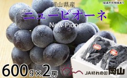 【ふるさと納税】ぶどう 2024年 先行予約 ニュー ピオーネ 約600g×2房 ブドウ 葡萄  岡山県産 国産 フルーツ 果物 ギフト