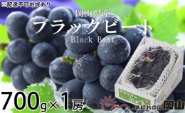 【ふるさと納税】ぶどう 2024年 先行予約 ブラックビート 約700g×1房 ブドウ 葡萄  岡山県産 国産 フルーツ 果物 ギフト