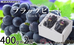 【ふるさと納税】ぶどう 2024年 先行予約 ブラックビート 約400g×2房 ブドウ 葡萄  岡山県産 国産 フルーツ 果物 ギフト