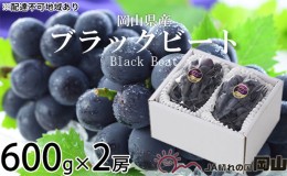 【ふるさと納税】ぶどう 2024年 先行予約 ブラックビート 約600g×2房  ブドウ 葡萄  岡山県産 国産 フルーツ 果物 ギフト