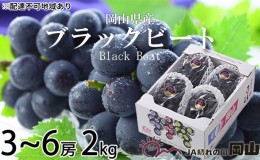 【ふるさと納税】ぶどう 2024年 先行予約 ブラックビート 約2kg 3房〜6房 ブドウ 葡萄  岡山県産 国産 フルーツ 果物 ギフト