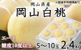 【ふるさと納税】桃 2024年 先行予約 岡山 白桃 エース 5〜10玉 約2.4kg  JA おかやま のもも（早生種・中生種） もも モモ 岡山県産 国