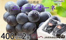 【ふるさと納税】ぶどう 2024年 先行予約 ニュー ピオーネ 約400g×2房 ブドウ 葡萄  岡山県産 国産 フルーツ 果物 ギフト