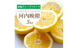 【ふるさと納税】ミヤモトオレンジガーデンの「河内晩柑 5kg」＜C25-130＞【1151744】