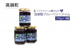 【ふるさと納税】＜ソフトクリーム屋さんの自家製ブルーベリージャム250g×3＞2か月以内に順次出荷 ジャム 3個