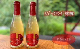 【ふるさと納税】スパークリング 林檎 375ml (箱入り)× 2本 セット 果汁50％ ふじりんご100％使用 アップル apple お酒 日本酒 女子会