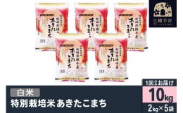 【ふるさと納税】【白米】令和5年産 特別栽培米あきたこまち 10kg(2kg×5袋)