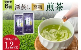 【ふるさと納税】【 6回 定期便 】 茶 深蒸し 高級 煎茶 (深蒸し茶) 100g×2袋×6回 [ビーキューブ 福岡県 筑紫野市 21760524] お茶 緑茶